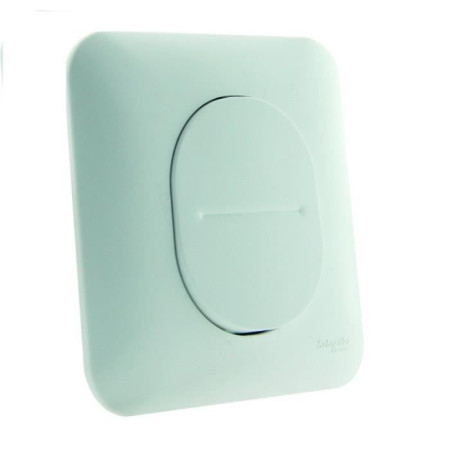 SCHNEIDER ELECTRIC Interrupteur poussoir simple 10 A Ovalis 230 V