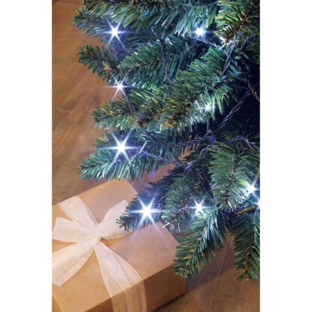 BLACHERE ILLUMINATION Guirlande intérieure/extérieure de fete NoeL Flicker - 288 LED